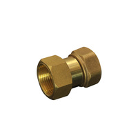 Raccord droit pivotant en laiton 1/2" 3/4" 1" à filetage femelle, raccord forgé pour chauffe-eau solaire basse pression