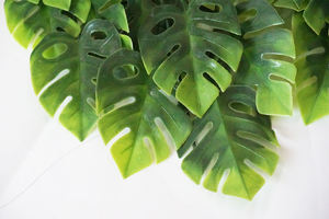 <span class=keywords><strong>Plante</strong></span> artificielle murale en plastique de haute qualité, feuilles vertes simulées, écologique, Monstera <span class=keywords><strong>Albo</strong></span> multicolore pour la vente en gros - Product Image 3