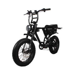 48V TO-LANDS 250W/500W/750W/1000W bicicleta eléctrica de neumáticos gruesos montaña ciudad Dirt <span class=keywords><strong>Cruiser</strong></span> carga eléctrica <span class=keywords><strong>EBike</strong></span> - Product Image 3