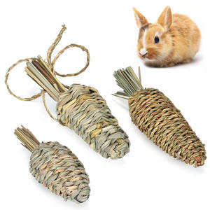 Cage à légumes tressée écologique et durable pour lapins, Totoro, hérisson hollandais, radis, plantes comestibles diverses, abri pour petits animaux - Product Image 1