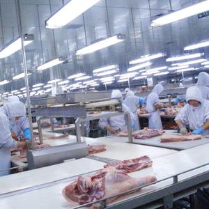 Industrielle Fleischschneide- und Entbeinungs-Förderlinie für die Verarbeitung von Schweine-, Rind- und Lammfleisch - Product Image 5