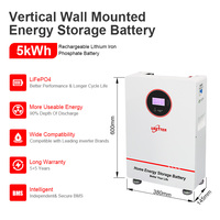 Batterie au lithium LiFePO4 25,6 V 24 V 100 Ah 200 Ah 5 kWh 10 kWh murale pour stockage d'énergie solaire avec BMS Wi-Fi Bluetooth pour usage résidentiel