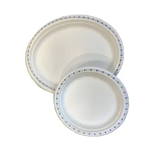 Platos Vasos Y tazas cajas Biodegradable Bagasse Plates And Cups Tableware