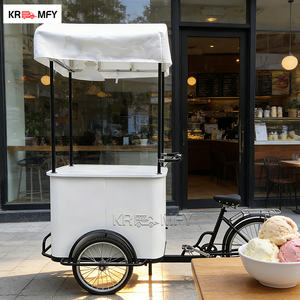 Vélo électrique pour boissons artisanales avec fibre de verre pour des solutions alimentaires durables, chariot tricycle pour crème glacée avec congélateur - Product Image 1