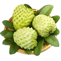 Premium Natuurlijke Zuurzak Fruitpoeder Zuurzak Vruchtensap Poeder