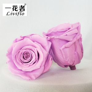 ดอกกุหลาบจริงอบแห้งขนาด 5-6 ซม. ยี่ห้อ Liviflo ขายส่ง บรรจุกล่อง สำหรับตกแต่งวันวาเลนไทน์และงานแต่งงาน - Product Image 2