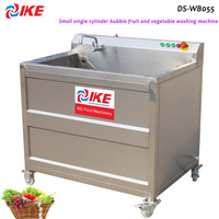 Machine de nettoyage de fruits automatique IKE fournie 220V ISO Machine à laver à bulles de fruits légumes rondelle de fruits acier inoxydable 304