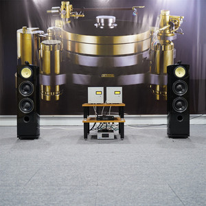 ONL-2TH Double Enceinte de Sol Trois Voies HiFi avec Baffle en Bois de 8 Pouces Technologie Nautilus Audio Passif de Qualité Exceptionnelle pour Audiophiles - Product Image 6