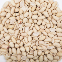 Cerneaux d'arachides bruts blanchis d'origine Shandong, faible teneur en aflatoxine, approvisionnement en vrac pour la fabrication du chocolat