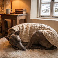 Pull pour chien en coton tricoté sur mesure, motif Aran irlandais, col roulé, quatre pattes, avec boutons en bois, artisanat traditionnel, vêtements pour animaux de compagnie, vente en gros
