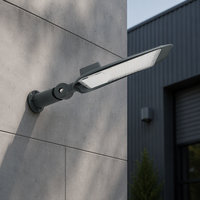 Farolas LED de 50W, IP65, CB AC, Proyector Decorativo para Exteriores de Bajo Precio, OUTLUX G017EI, Alto Lumen, Regulable, Municipal