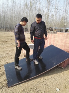 Contrachapado de Abedul Fabricado en China, Recubierto con Película, Gran Tamaño 1250 x 2500 mm, <span class=keywords><strong>Espesor</strong></span> 12 mm 18 mm, Contrachapado WBP con Pegamento - Product Image 5