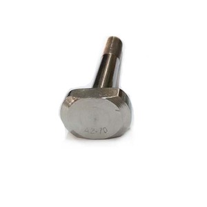 Vis à tête en T M3M4M5M6M8, fixation personnalisée, vis à tête en T en acier inoxydable 316 316L 316Ti, fabricant de goujons et de vis en T - Product Image 1