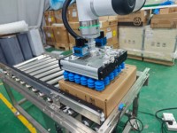 Robot de Paletización con Base Móvil para Operación Segura, Caja de Plástico para Palés Europeos, Elevación de 7º Eje, Controlado por PLC, Estructura Resistente