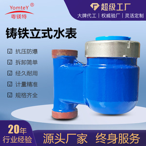 LXSL 40E Cast Iron Water Meter DN15 DN20 DN25 Multi Jet Dry Type Flanged Vertical Domestic Use - Product Image 5