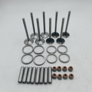 Kit de Ensamblaje Completo 4L88 para Motor Changchai 4L88, Tractor, Cosechadora, Solución Integral 4L88 - Product Image 1