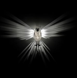 หลอดไฟ LED รูปสัตว์3D แบบพกพาได้อุปกรณ์ตกแต่งผนังแบบพิเศษสำหรับงานปาร์ตี้ไนท์คลับไฟทางเดิน - Product Image 5