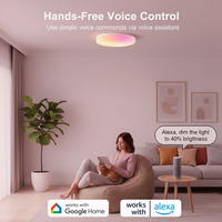 Plafonnier LED intelligent Eboy RGBCW 2000LM IP20 Tuya WiFi pour contrôle par capteur et application, dimmable, en alliage d'aluminium