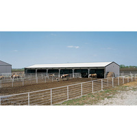 Perchas para pollos con estructura de marco de acero, diseño de aves de corral, pollo prefabricado, vaca, granja, cobertizo de construcción