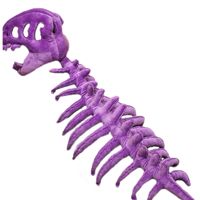 En gros, Costume de dinosaure en peluche fantaisie avec tête de squelette, en polyester et rembourrage en coton PP, Tailles 90cm/120cm pour adultes