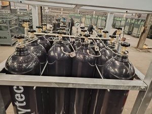 Soporte Personalizable para Cilindros de Gas con Tubería de Acero Inoxidable OEM - Product Image 3