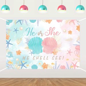 Sfondo Fotografico Personalizzabile per Rivelazione del Sesso del Bambino, Banner per Festa Baby Shower con Palloncini Rosa e Blu - Product Image 6