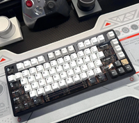 ATTACK SHARK X68HE AULA F75 Mchose ACE60 FGG MAD 60 MAD68 Aula Win60 Ajazz AK820 Hot Sublimation Transparent Keycaps Keycap