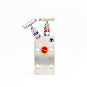 Nouveaux collecteurs à deux vannes à succès pour transmetteurs Rosemount - Product Image 2