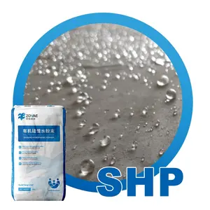 Poudre hydrophobe en silicone Agent hydrophobe SHP pour revêtement en poudre sèche Poudre hydrofuge