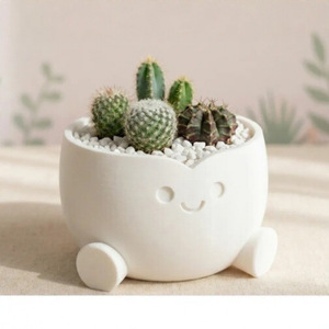 Creative Smile Face Resin Flower Pot For Cactus Indoor Desktop Plant Decor Cartoon Style Modern Design - Product Image 2