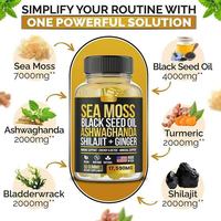 Gummies Énergétiques OEM Himalaya Shilajit, Supplément d'Algues Marines pour Adultes, Végétalien, Halal, Sans Gluten, Soutien Immunitaire, Santé Digestive