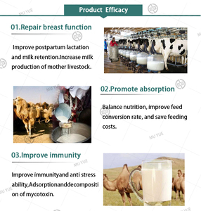 Stimulant de production de lait pour vaches et moutons, soutien immunitaire, supplément d'acides aminés - Product Image 6