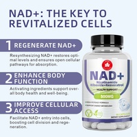 Capsules OEM NAD+ Nicotinamide Riboside Resvératrol pour l'anti-âge, l'énergie cellulaire, la santé cérébrale, compléments alimentaires personnalisés