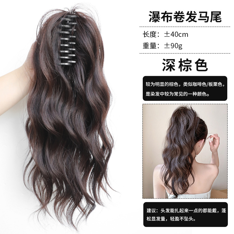 HJ406 [Marron foncé]