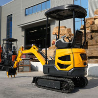 Mini-excavatrice CT17BH 1,74 tonne, haute pression 25 MPa, débit 55,2 L/min, profondeur 2160 mm, force du bras 10,2 KN, démolition