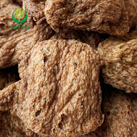 Pemasok Protein berbasis tanaman non-gmo Simulates daging 60% kandungan rendah lemak bertekstur Protein sayuran sebagai daging Vegetarian