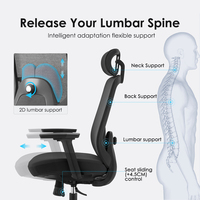 Chaises de bureau ergonomiques en maille du Guangdong avec support lombaire 2D, chaise pivotante pour bureau, vente directe d'usine