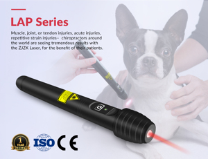 Stylo d'<span class=keywords><strong>acupuncture</strong></span> à biostimulation <span class=keywords><strong>laser</strong></span> doux 808 nm pour hernies discales, sciatique et libération d'endorphines - Product Image 5