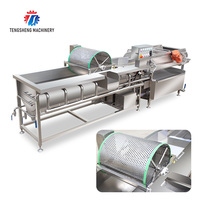 Commerciële Groente Verwerking Lijn Voedsel Apparatuur Fruit Vortex Wasmachine Aardappel Gember Industriële Wasmachine (TS-X680D)