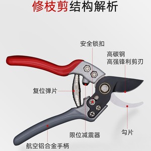 Nice <b>Pruning</b> Shears 6.5 In Stainless Steel Straight Head Garden <b>Tool</b> For Fruit <b>Trees</b> And Orchards - Product Image 3