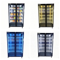 Réfrigérateur commercial à double porte vitrée pour boissons, vin et bière, pour bar, supermarché, magasin