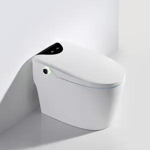De gros cuvette des toilettes air-Bols de toilette en céramique intelligent, séchage à air, placard d'eau