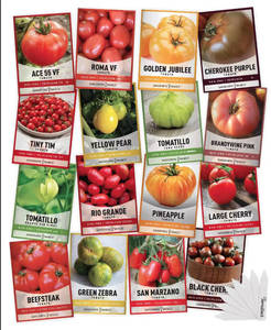 Lot de 16 variétés de <span class=keywords><strong>tomates</strong></span> <span class=keywords><strong>anciennes</strong></span>, dont Tiny Tim Cherry Roma - Sans OGM, pour pots et jardinières - Product Image 1