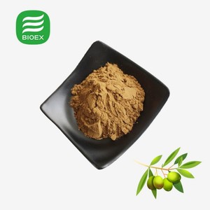ハーブオリーブリーフパウダーバルク有機40% 70% オレウロペイン純粋なオリーブリーフエキス工場供給 - Product Image 3