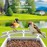 Solarbetriebener KI-Vogelerkennungs-Smart-Vogelfutterspender mit 5MP HD-Kamera WLAN IP66 Wasserdichtes Wildvogelhaus für den Außenbereich