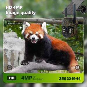 迷彩丛林 LTE 太阳能摄像头电池 AOV 24 小时工作无线户外 IP65 4G WIFI 闭路电视摄像头 SIM 卡太阳能摄像头 - Product Image 6