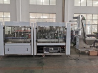 Ligne de production d'eau purifiée pour la machine d'embouteillage d'eau claire facile à utiliser pour le verre de remplissage de shampooing de boisson
