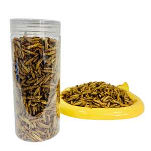 Larves de Mouches Soldat Noires Séchées en Vrac de Qualité Alimentaire 100% Naturelles – Aliment Sain et Durable pour Oiseaux - Product Image 2