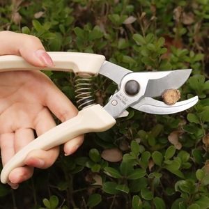 Hiroki Oka Pruning <b>Shears</b> SK5 Carbon Steel 20-30 Mm Bypass For Fruit Trees Garden <b>Tools</b> - Product Image 2