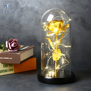 Flores de lámina de oro de 24K para el día de la madre, cúpula de cristal con luz LED, rosas encantadas, regalos de flores para boda, <span class=keywords><strong>2022</strong></span> - Product Image 5